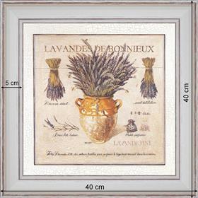Lavender of Bonnieux - dimension 40 x 40 cm - White
