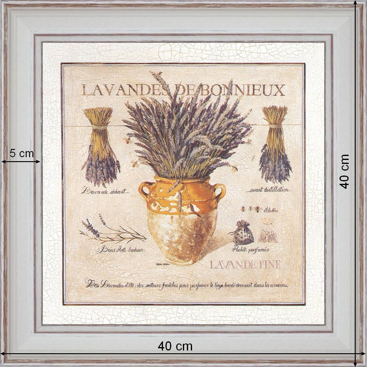 Lavender of Bonnieux - dimension 40 x 40 cm - White