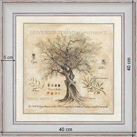 Olive-trees of Saint Rémy de Provence - dimension 40 x 40 cm - White