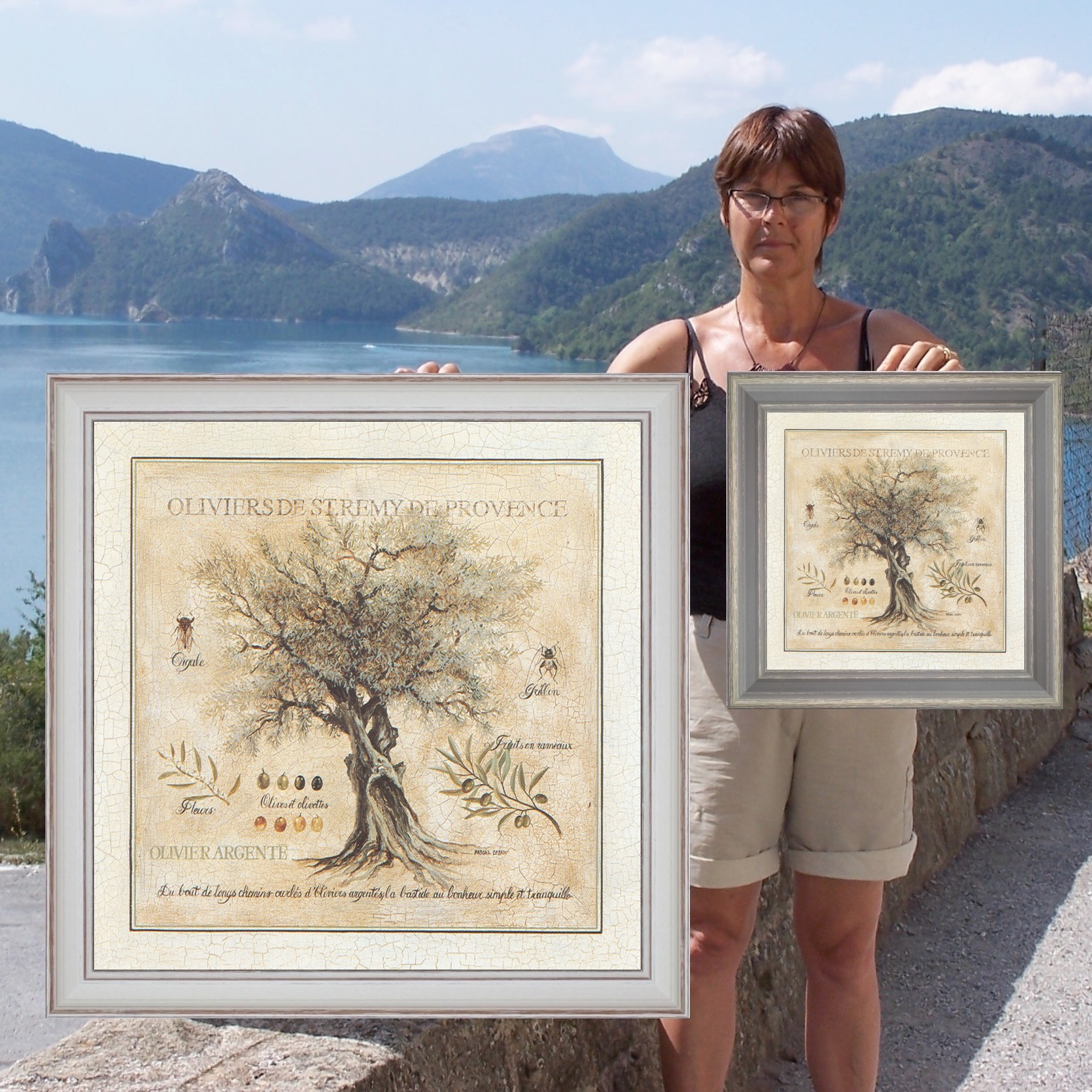 Olive-trees of Saint Rémy de Provence - 2 sizes detail