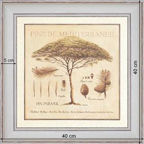 Pins de méditerranée - dimension 40 x 40 cm - Blanc cassé