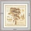 Eucalyptus of Porquerolles - dimension 40 x 40 cm - White