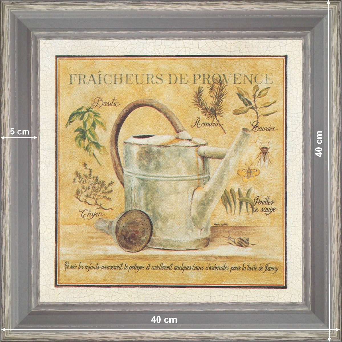 Fraicheur de Provence - dimension 40 x 40 cm - Gris