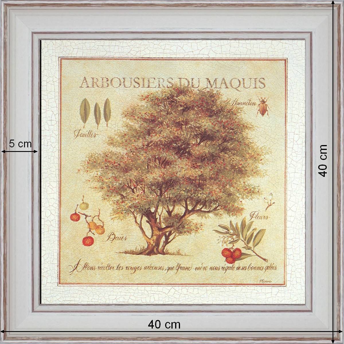 Arbousiers du Maquis - dimension 40 x 40 cm - 