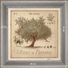 Olive-tree of Provence - dimension 40 x 40 cm - Grey
