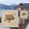 Olive-tree of Provence - 2 sizes detail