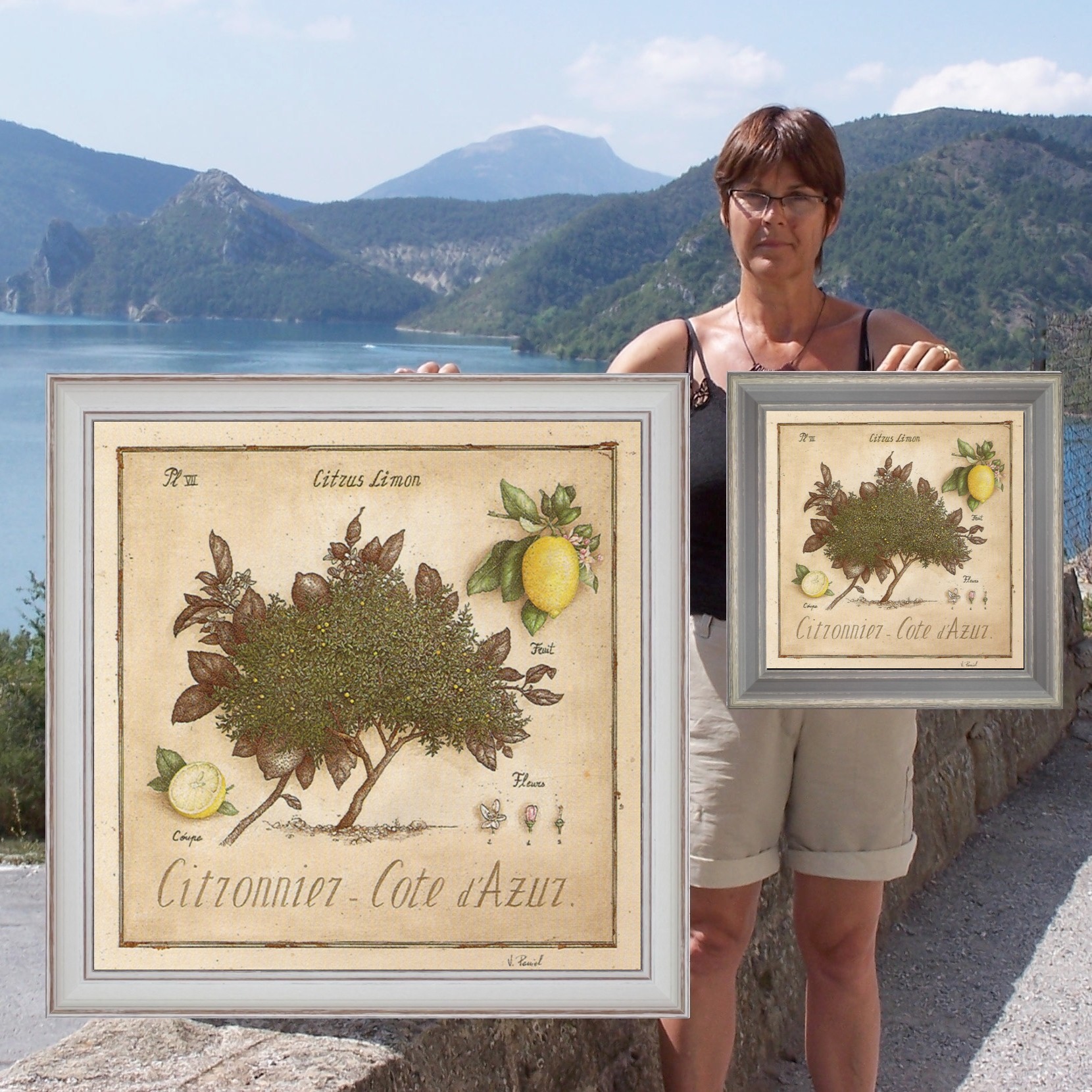 Citronnier Côte d'Azur - comparaison des 2 formats