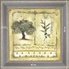 Olive-tree and branch 1 - dimension 40 x 40 cm - Grey