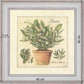Herbes de Provence, Laurier - dimension 40 x 40 cm - Blanc cassé