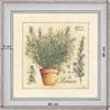 Grass of Provence, Rosemary - dimension 40 x 40 cm -  White