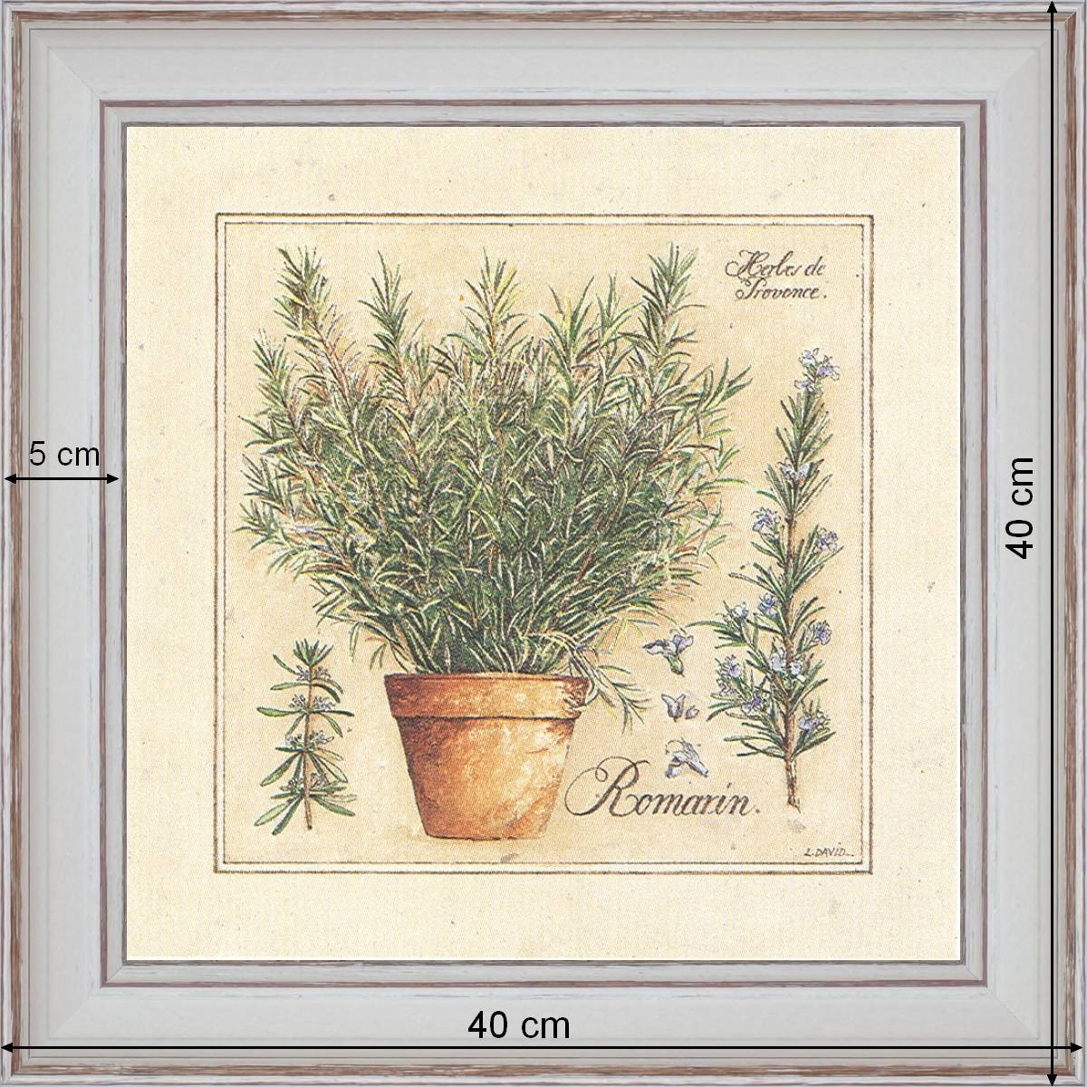 Herbes de Provence, Romarin - dimension 40 x 40 cm - Blanc cassé