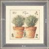 Herbes de Provence, Thym - dimension 40 x 40 cm - Gris