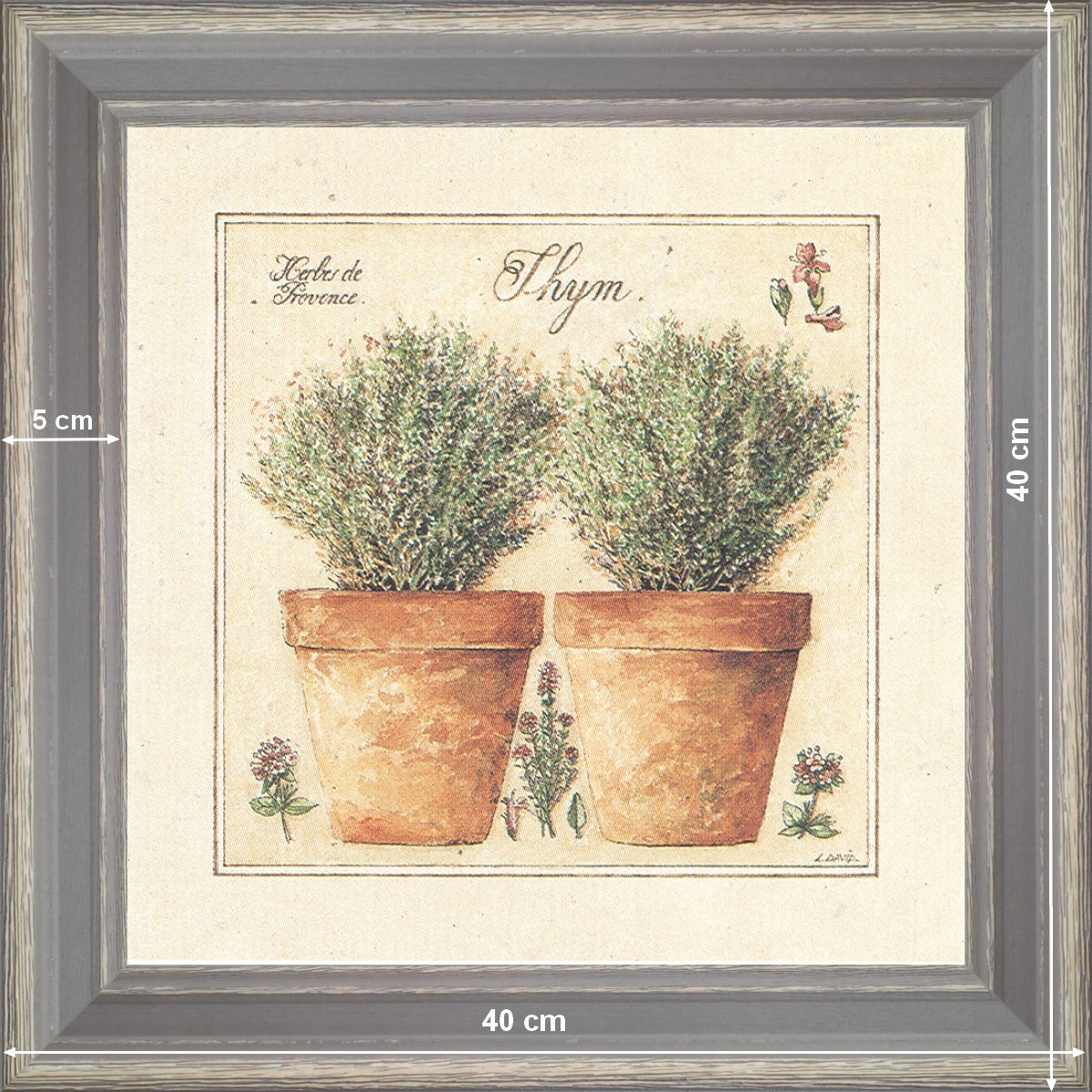Herbes de Provence, Thym - dimension 40 x 40 cm - Gris