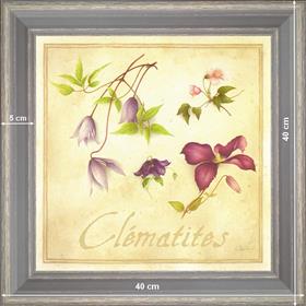 Clématites - dimension 40 x 40 cm - Gris