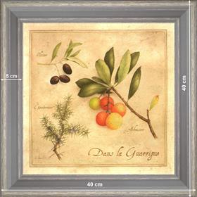 Dans la Garrigue - dimension 40 x 40 cm - Gris