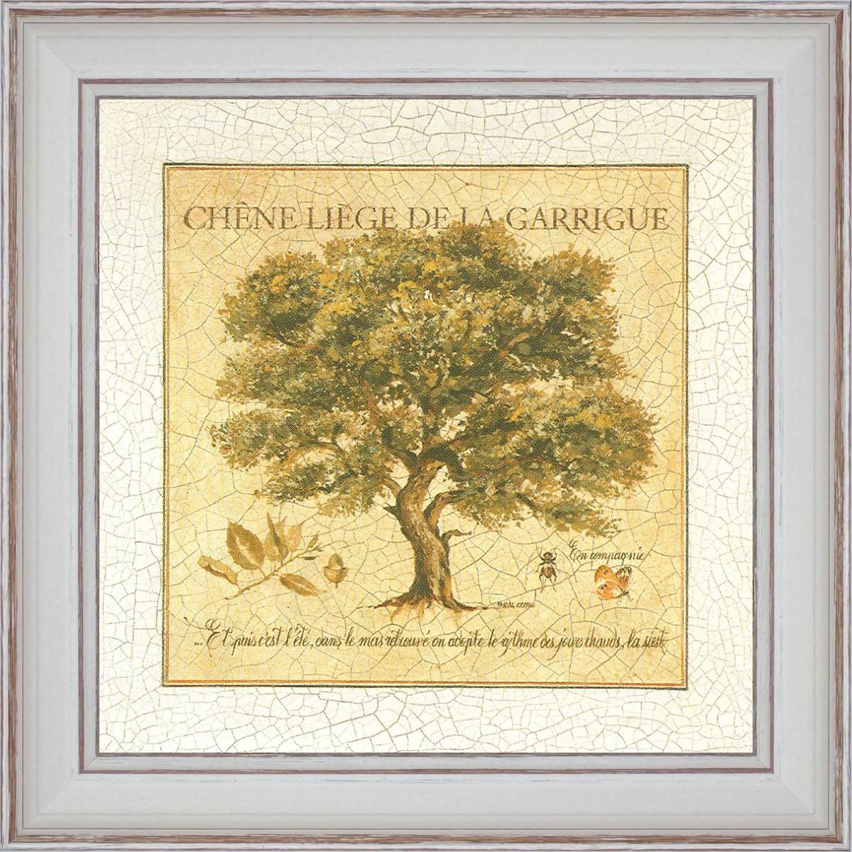 Chène liège de la guarrigue - détail du tableau 40 x 40 cm