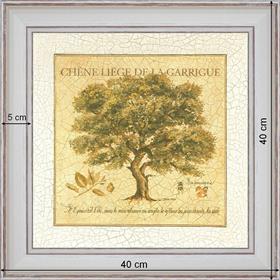 Chène liège de la guarrigue - dimensions 40 x 40 cm - Blanc cassé