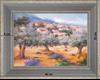 Oliveraie - paysage 40 x 35 cm Grisée incurvée