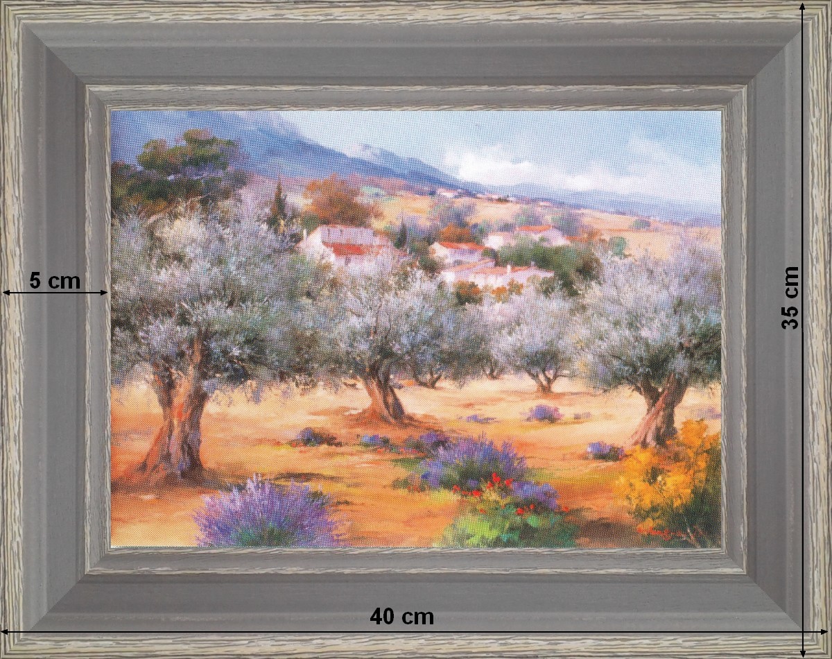 Olive grove - landscape 40 x 35 cm