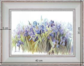 Armful of iris - dimension 40 x 35 cm - Cleared curved