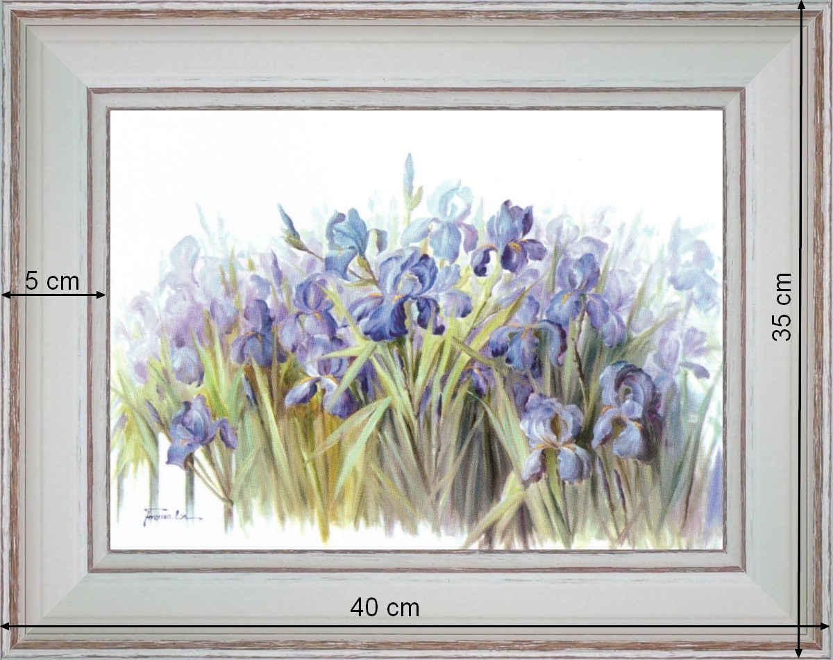 Brassée d'iris - dimension 40 x 35 cm - Blanchie incurvée 