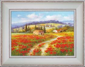 Poppies in the country