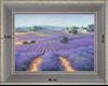 Lavenders as far as the eye can see - landscape 40 x 35 cm
