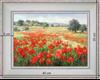 Invasion of poppies - landscape 40 x 35 cm - Cleared curved