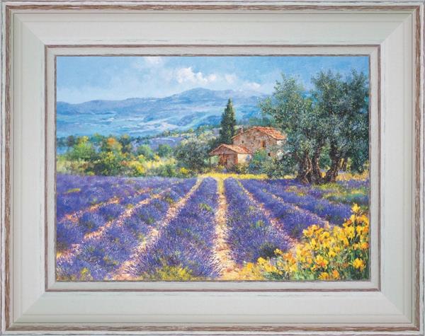 Fields of lavender, Brooms and Olive trees