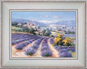 In the lavenders of Haute-Provence