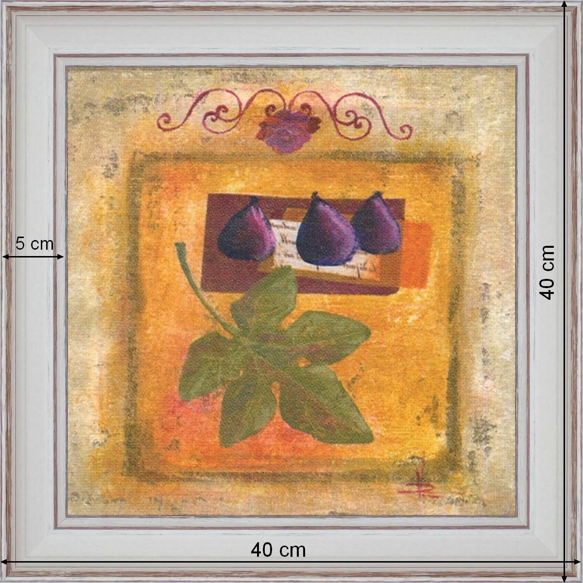 The figs violets - dimensions 40 x 40 cm