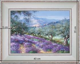 Rangée d'oliviers au bord des lavandes - paysage 40 x 35 cm - Baguette blanchie incurvé