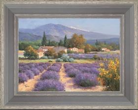 Fields of lavender in the Provençal Drôme
