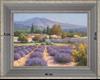 Fields of lavender in the Provençal Drôme - landscape 40 x 35 cm