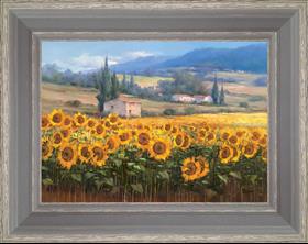 The sunflowers of the small house