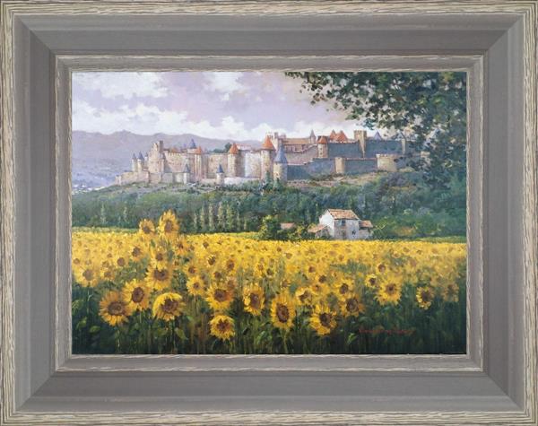 Fields of sunflowers under Carcassonne