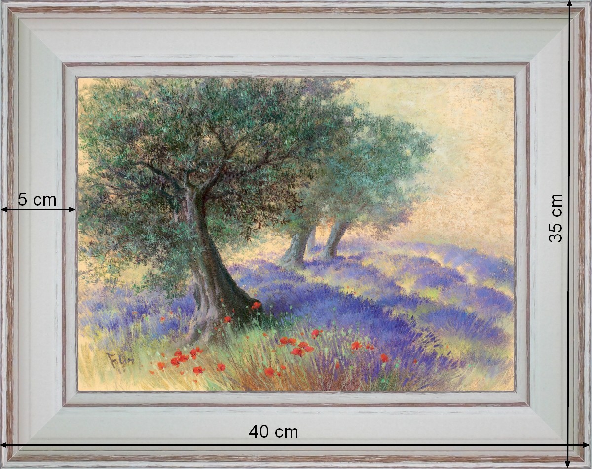 Lavenders under olive trees - landscape 40 x 35 cm - Cleared curved