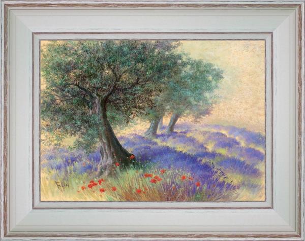 Lavenders under olive trees