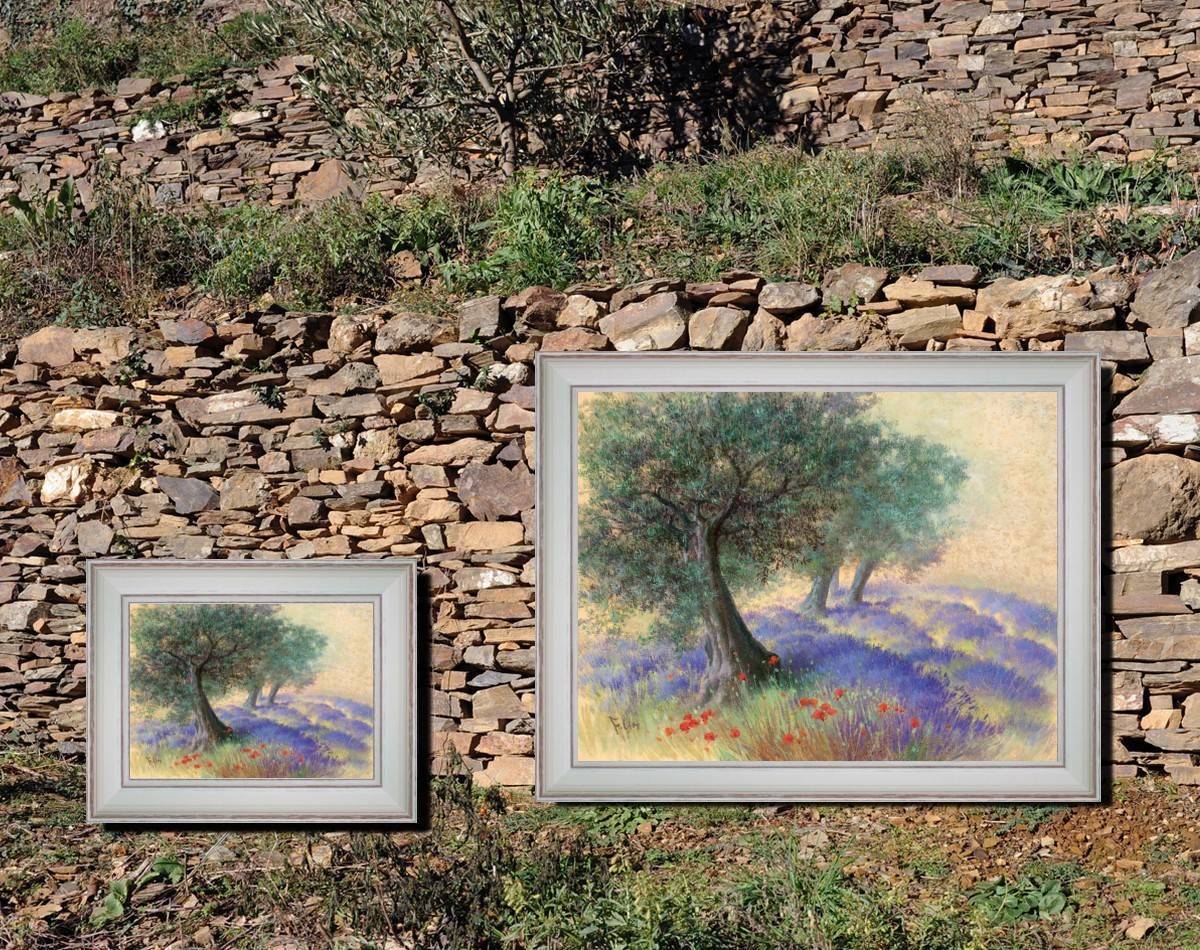 Lavenders under olive trees - 2 sizes detail