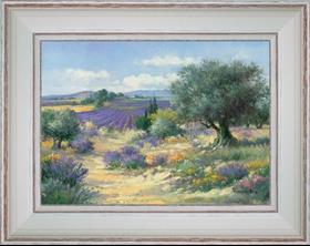 Lavenders and olive trees