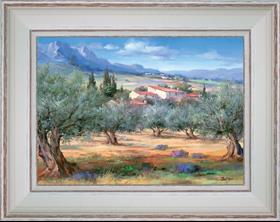 The country house in olive trees