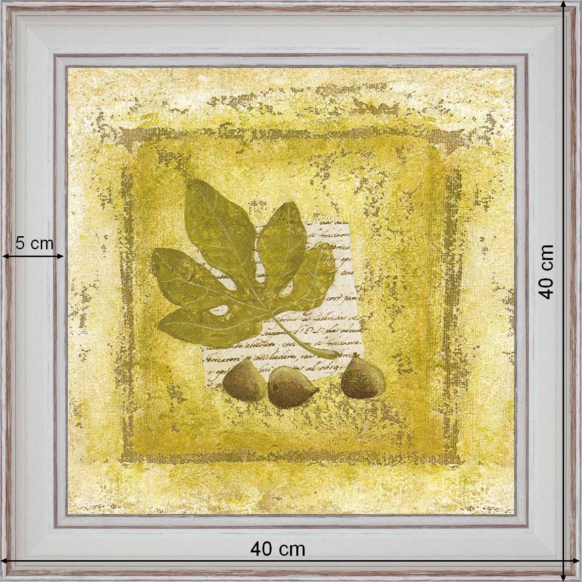 Figs - dimensions 40 x 40 cm