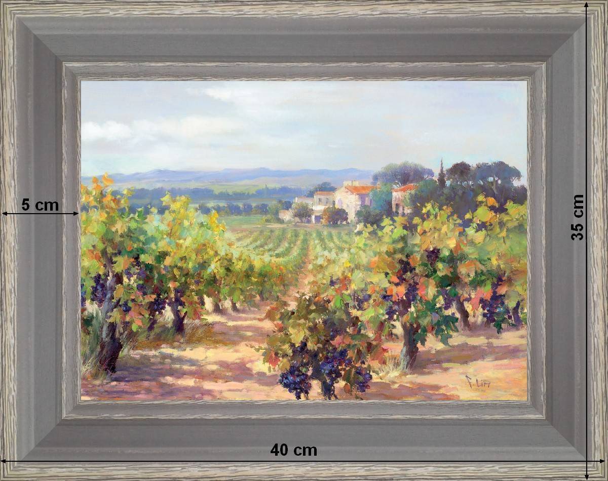 Vignes et raisins avant la vendange - paysage 40 x 35 cm Gris