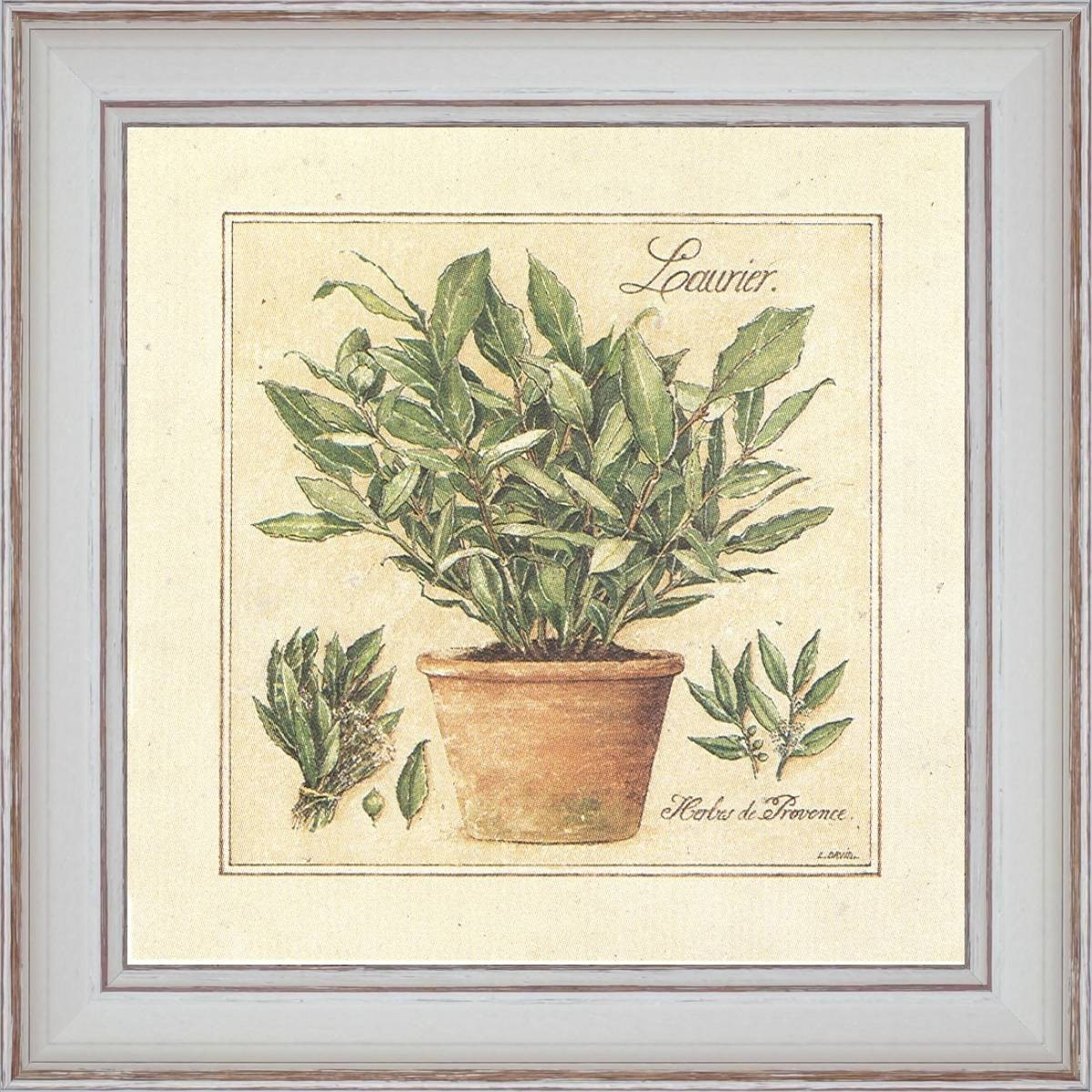 Herbes de Provence, Laurier - détail du tableau 40 x 40 cm