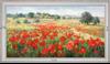 Right in the middle of poppies - Landscape 60x110 cm - White curved
