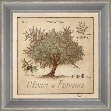 https://tableaux-provence.com/2685/olive-tree-of-provence.jpg