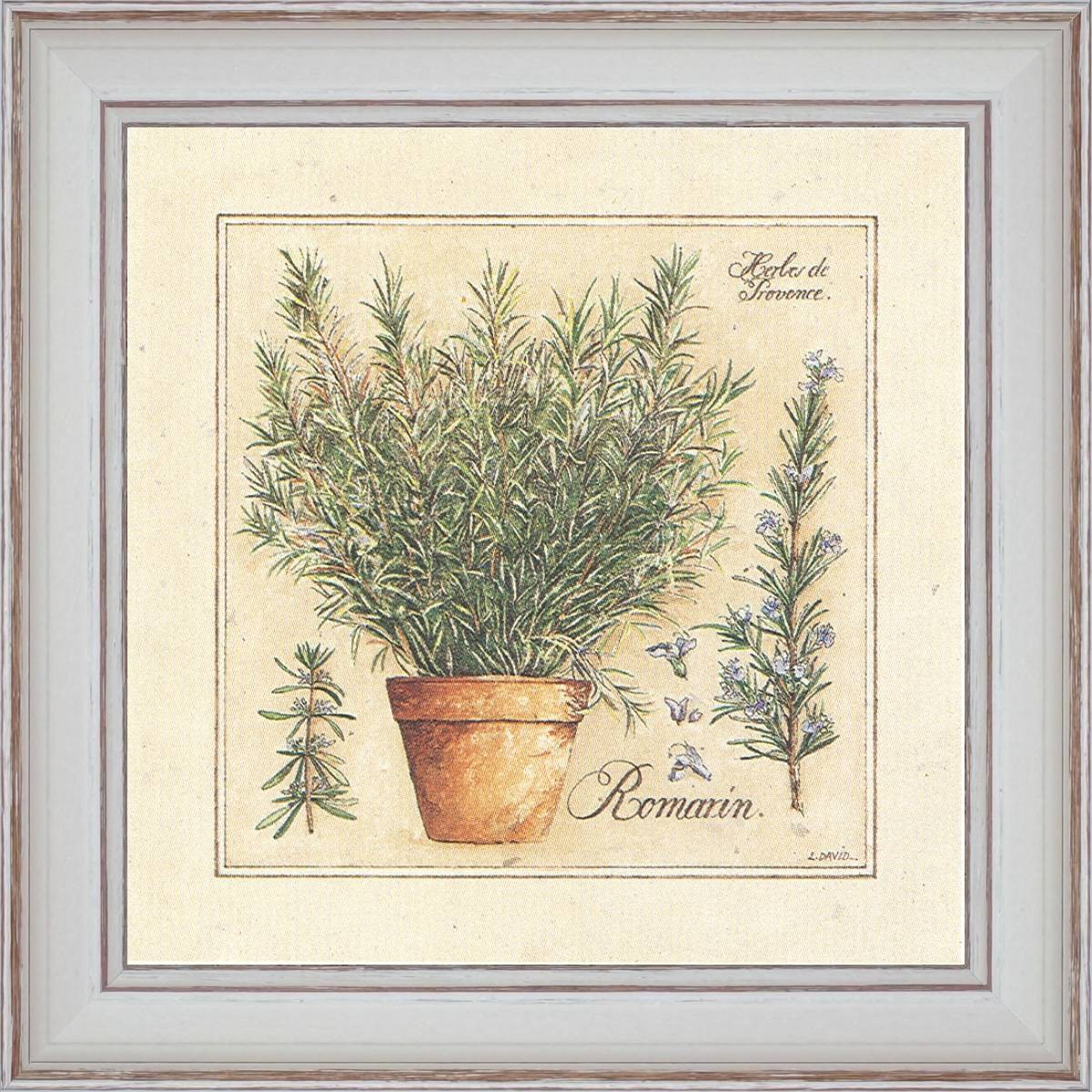 Herbes de Provence, Romarin - détail du tableau 40 x 40 cm