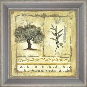 Olive-tree and branch 1