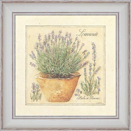 https://tableaux-provence.com/2707/grass-of-provence-lavender.jpg