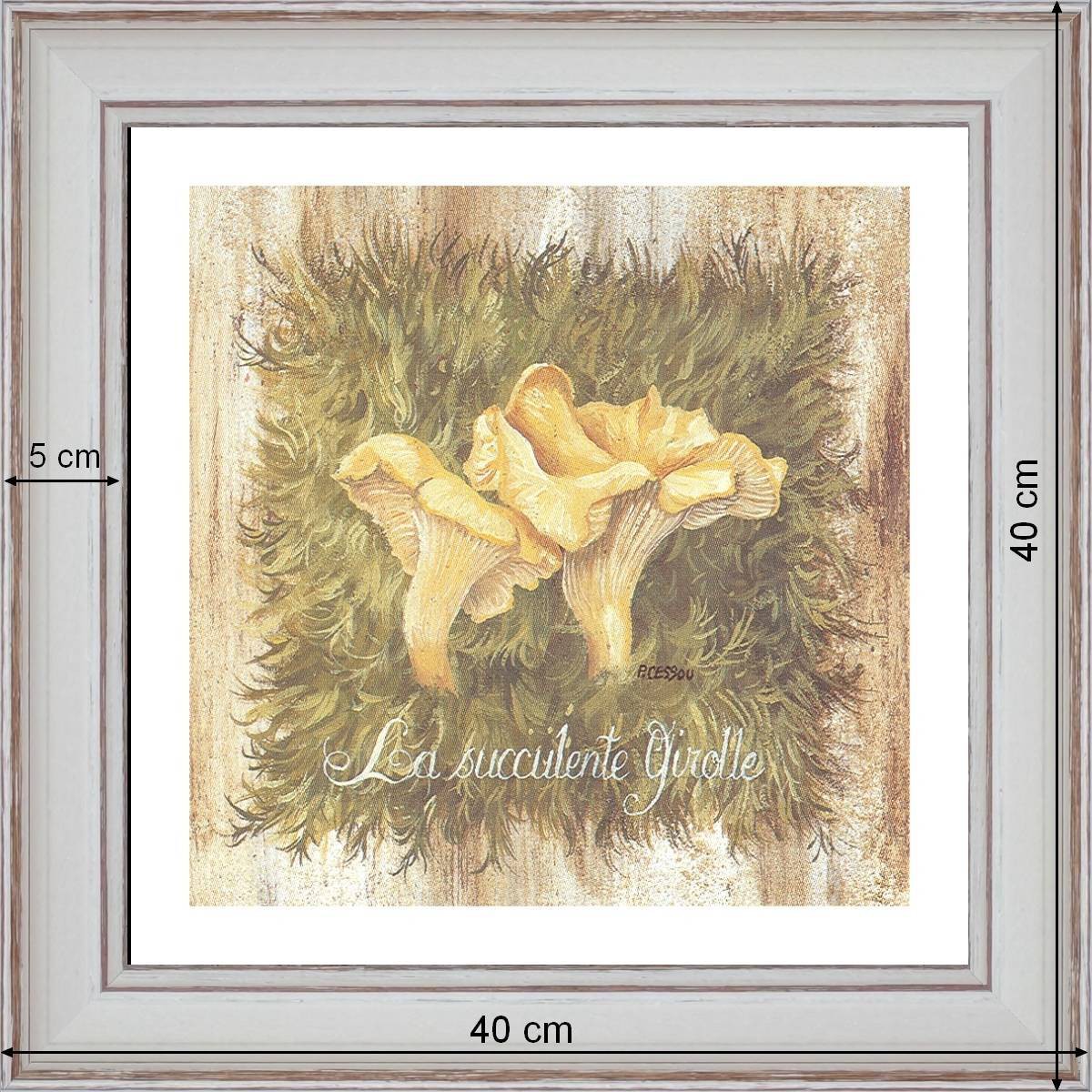 La Succulente Girolle - dimensions 40 x 40 cm - Blanc cassé